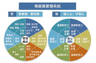 溫州企業(yè)管理咨詢 為何朗歐是您駐廠咨詢的卓越之選？